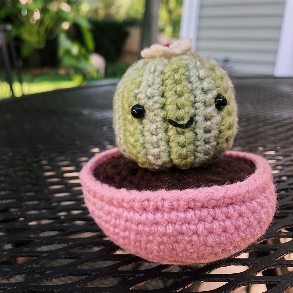 Crochet Silver Ball Cactus